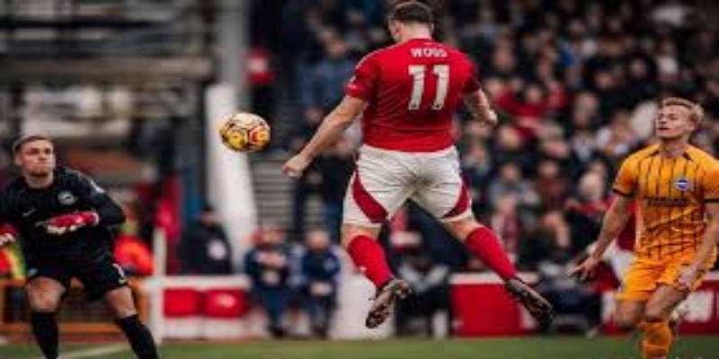 持续进步的态度与未来潜力 -  亚博体育